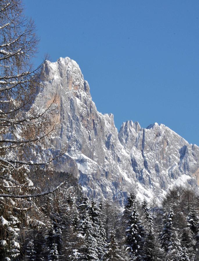 Albergo Antico Predazzo Buitenkant foto